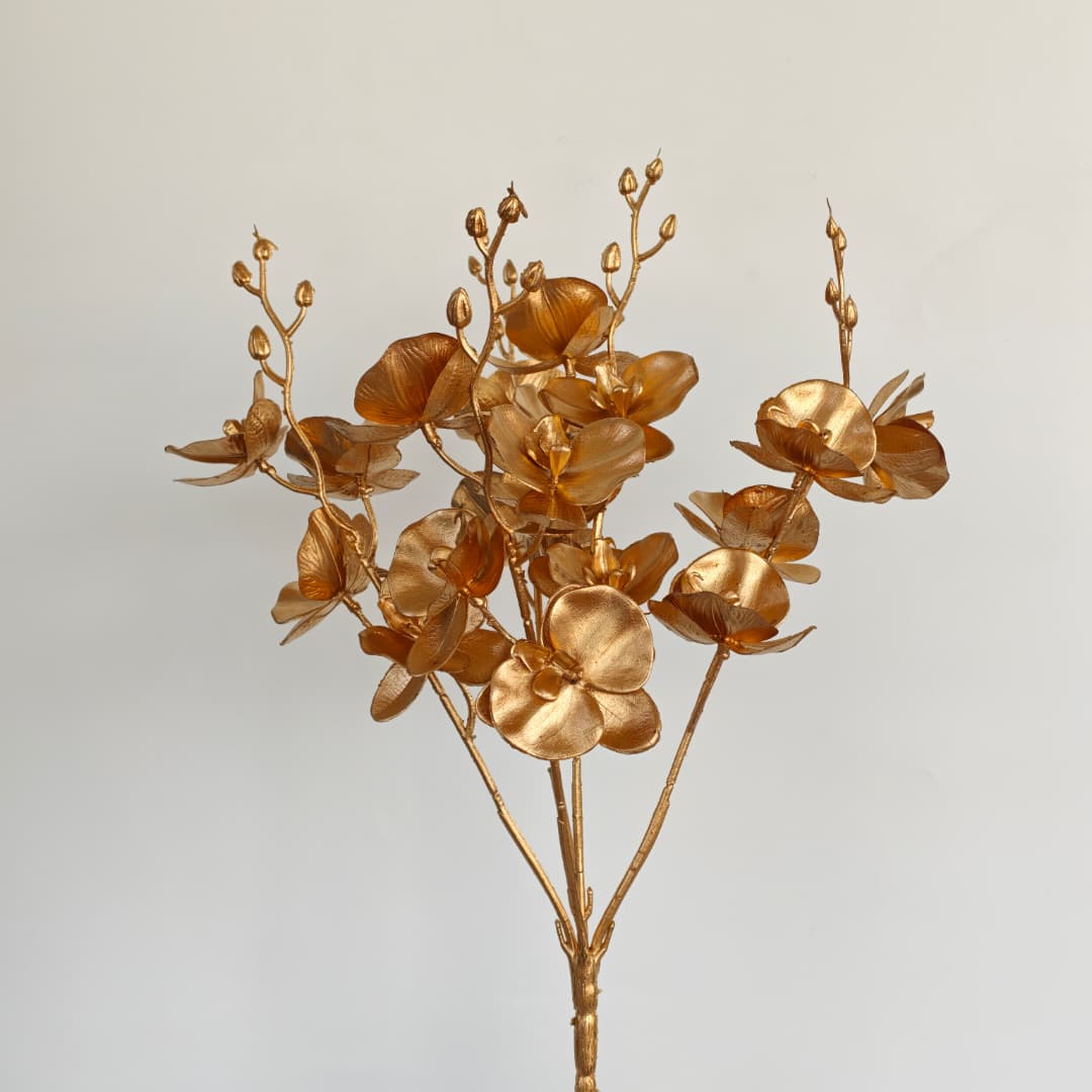 Butterfly Orchid Spray x 5-Gold | Short Flowers