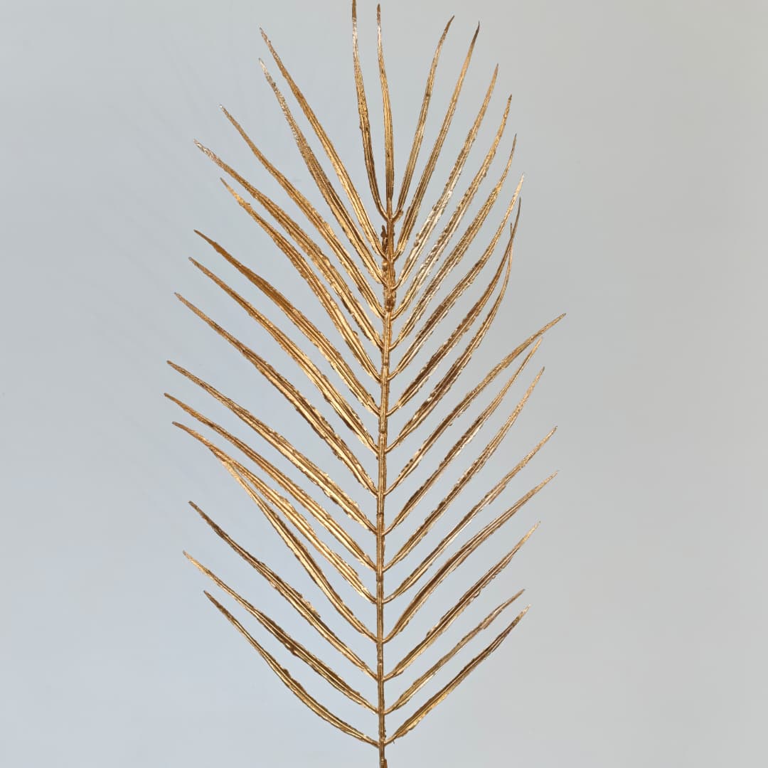Single Dypsis Lutescens 12Pcs (50cm) 散尾葵 金色-Gold | Fillers