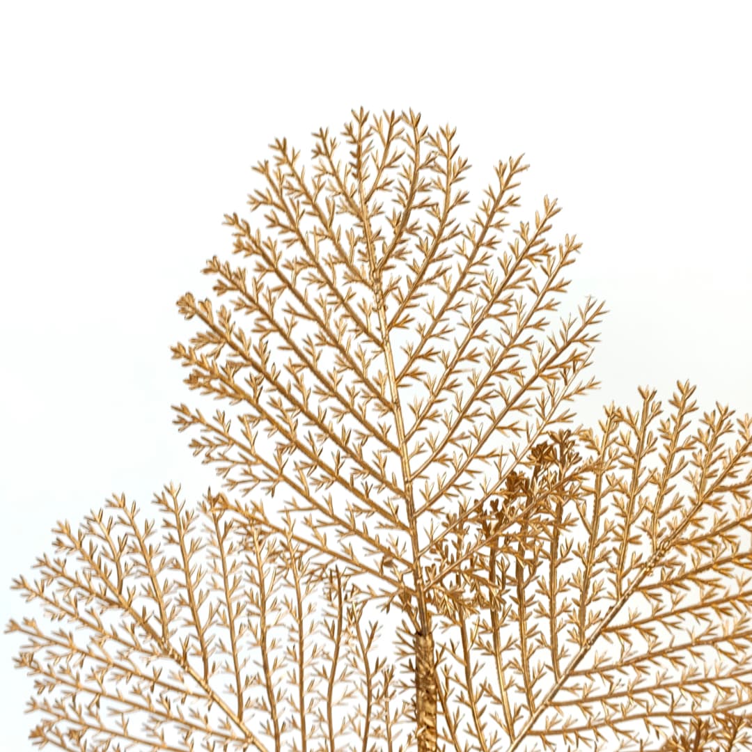 5 Heads Gold Leaf (Point) 52cm 金色-Gold | Fillers