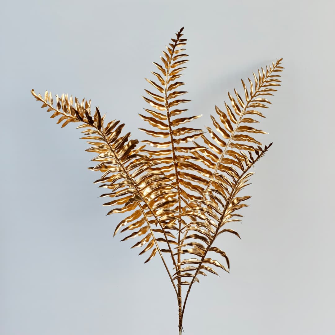 Boston Fern x 5 (72cm) 波斯叶 五叉 金色-Gold | Flowers & Greenery