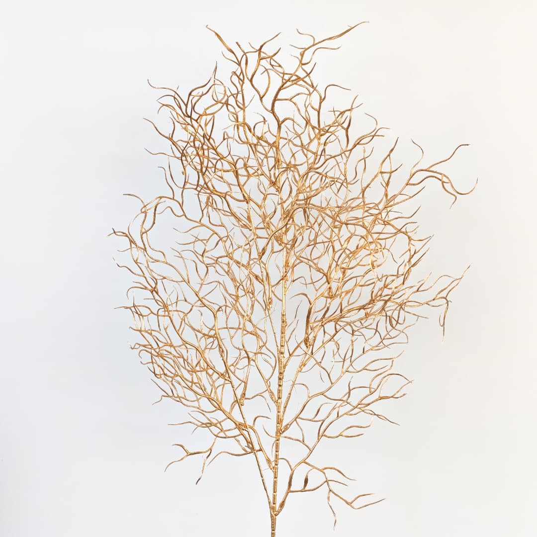 Coral Spy (96cm)-Gold | Tall Flowers