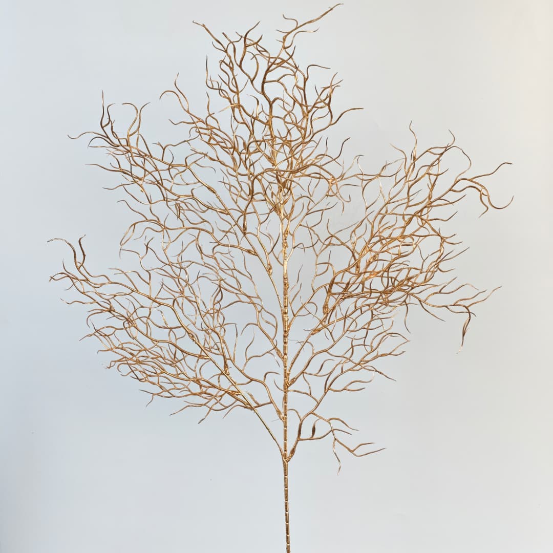 Coral Spy (96cm)-Gold | Tall Flowers
