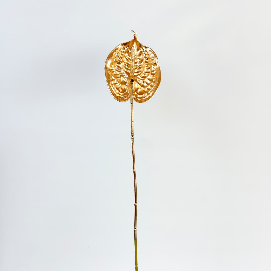 Anthurium (60cm) 火鹤花-Gold  | Short Flowers