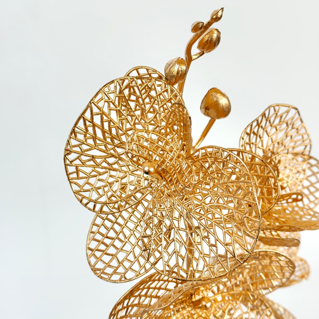 Phalaenopsis x 4 (36cm) 四叉蝴蝶兰-Gold | Tall Flowers