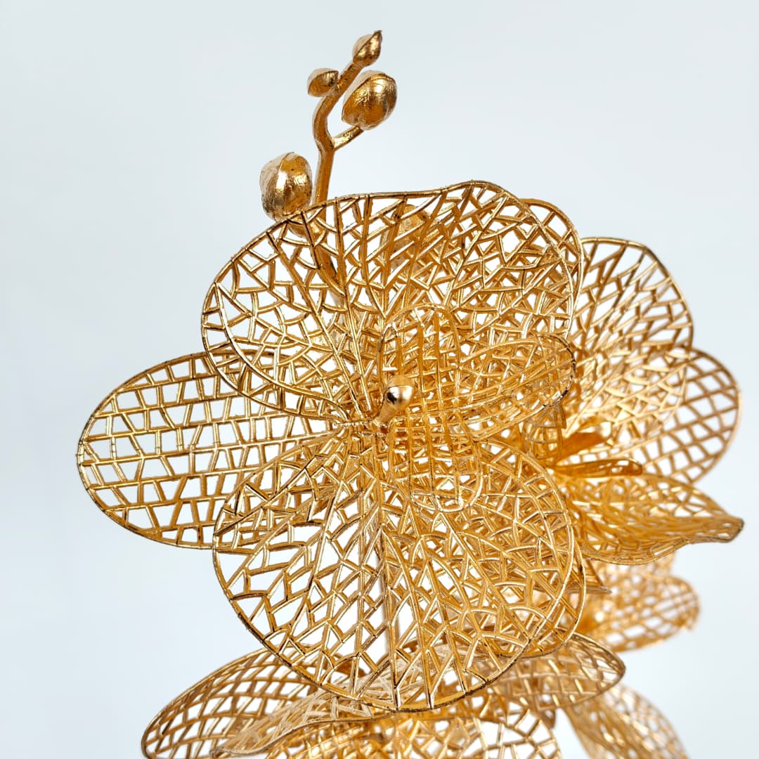 Phalaenopsis x 4 (36cm) 四叉蝴蝶兰-Gold | Tall Flowers