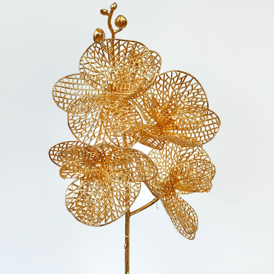 Phalaenopsis x 4 (36cm) 四叉蝴蝶兰-Gold | Tall Flowers