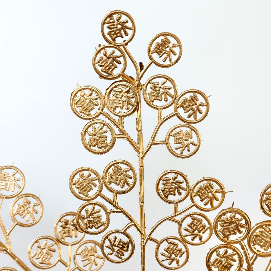 Lucky Coin x 3 (70cm) | 