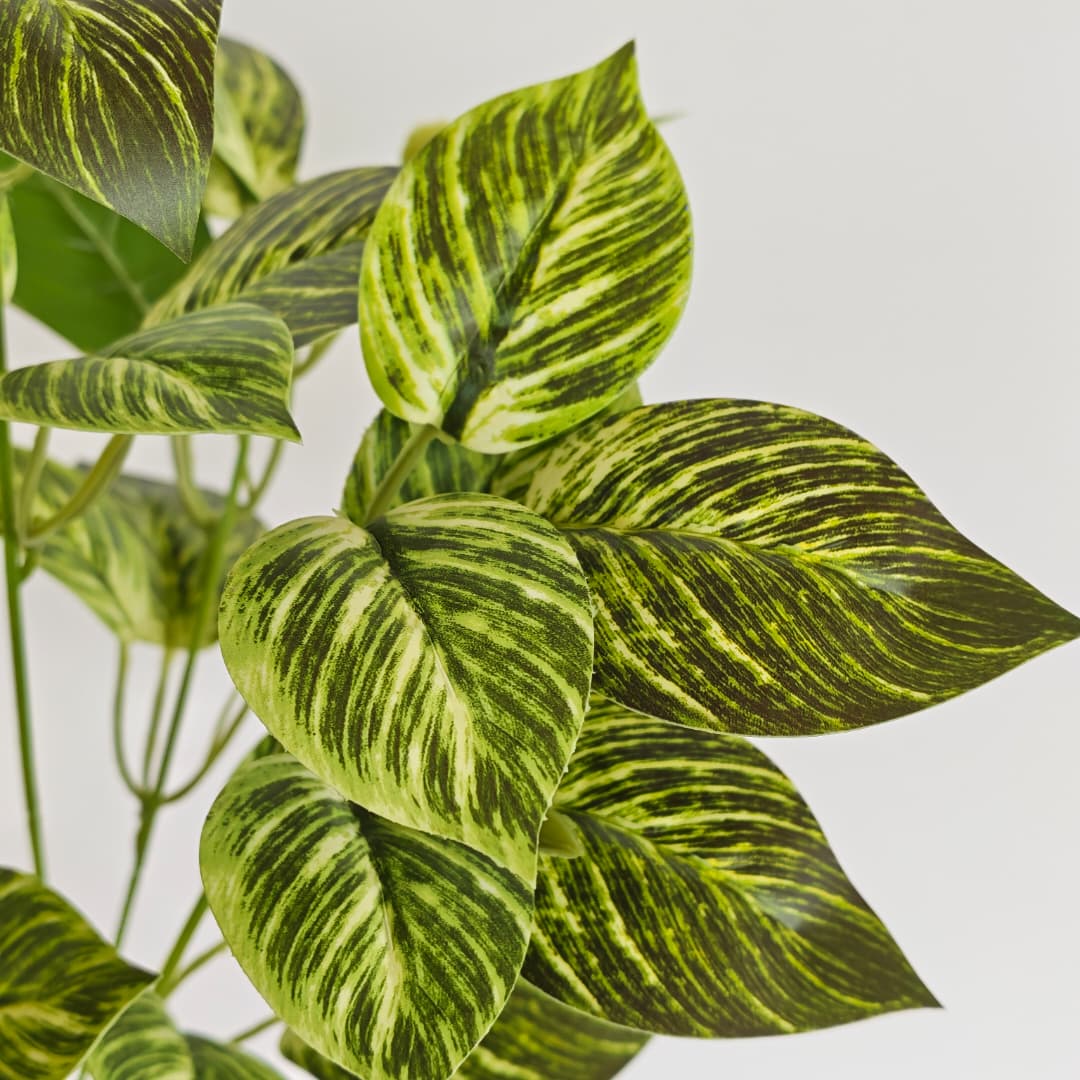 Leaf x 5 (L38cm) | Fillers