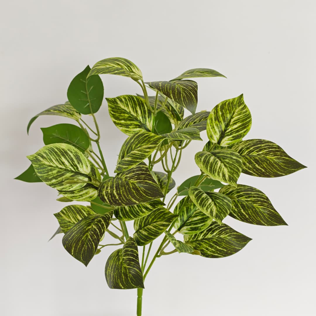 Leaf x 5 (L38cm) | Fillers