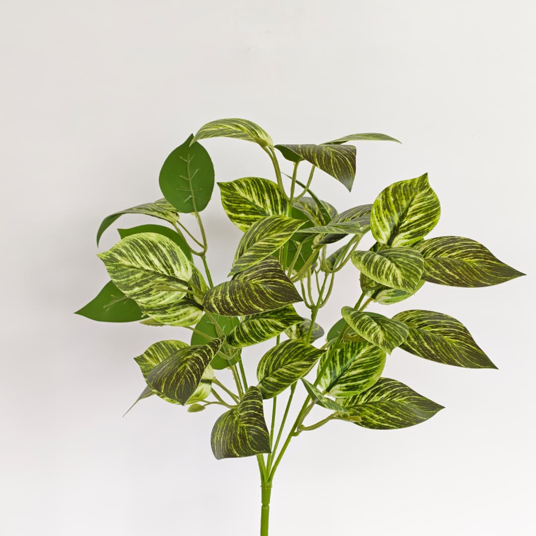 Leaf x 5 (L38cm) | Fillers