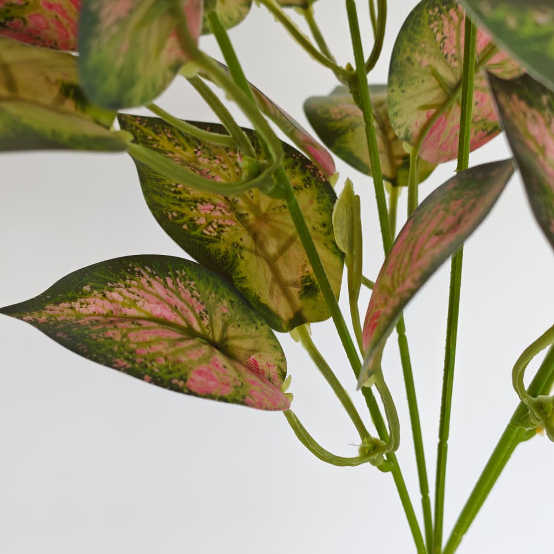 Leaf x 5 (L38cm) | Fillers