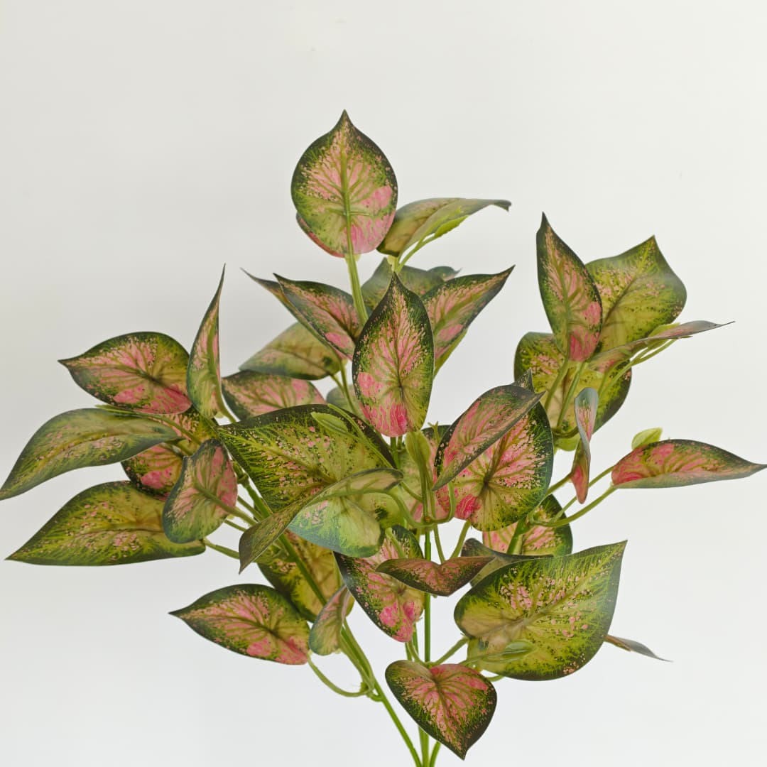 Leaf x 5 (L38cm) | Fillers