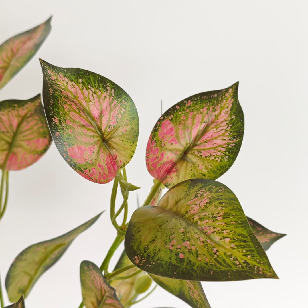 Leaf x 5 (L38cm) | Fillers