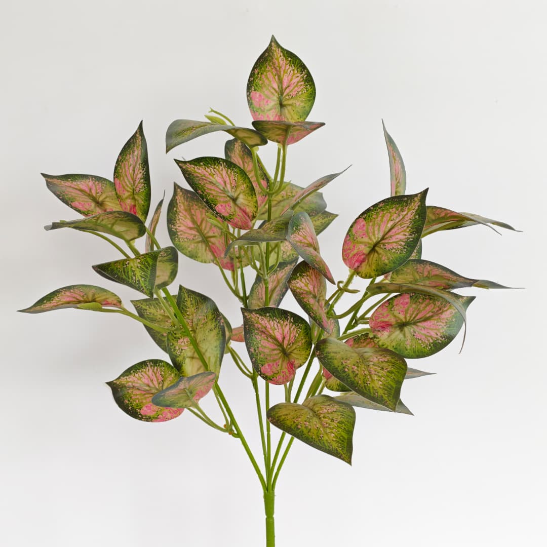 Leaf x 5 (L38cm) | Fillers