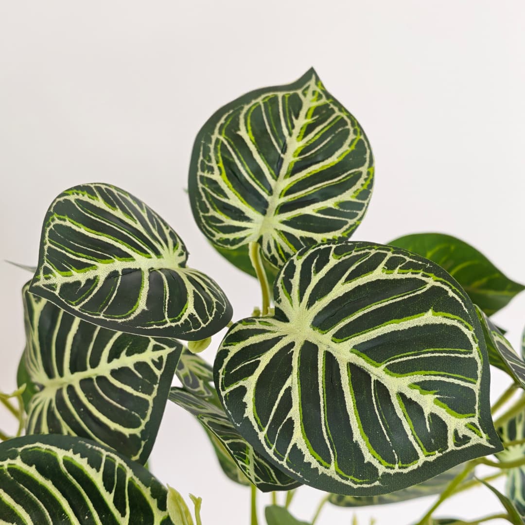 Leaf x 5 (L38cm) | Fillers