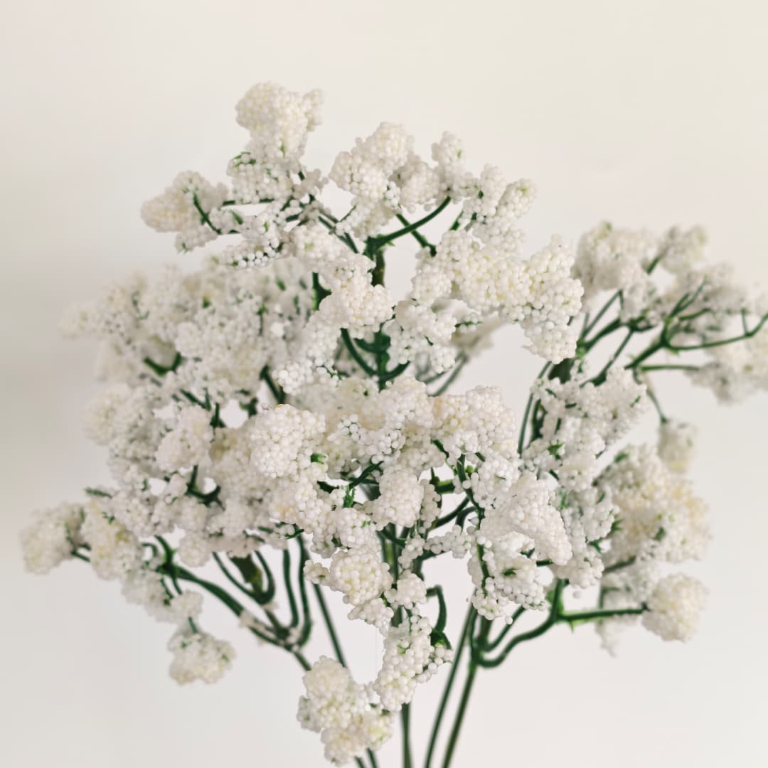 Baby's Breath Gypsophila (ST) 满天星-White | Fillers