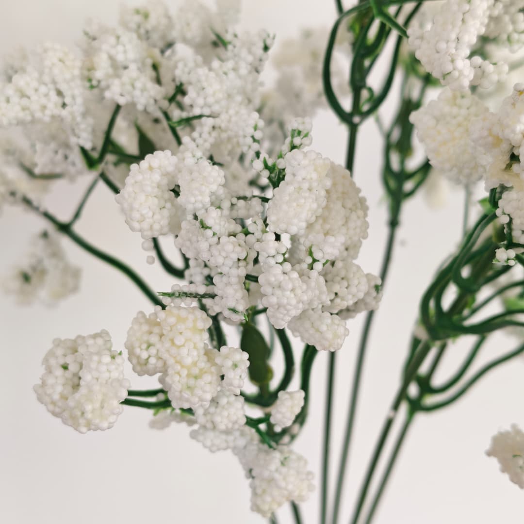 Baby's Breath Gypsophila (ST) 满天星-White | Fillers