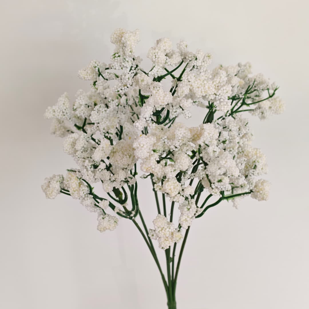 Baby's Breath Gypsophila (ST) 满天星-White | Flowers & Greenery