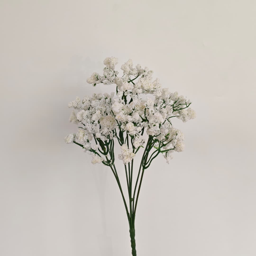 Baby's Breath Gypsophila (ST) 满天星-White | Fillers