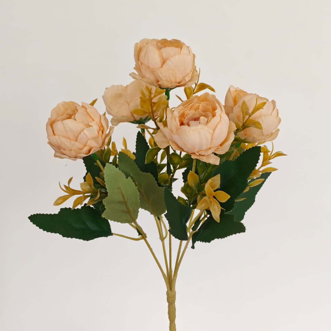 Mini Peony x 5 | 
