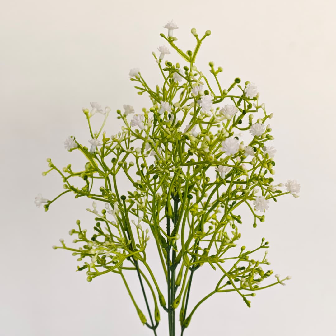 Sky Stars W/M Flower 5 Heads 小米果-White | Fillers