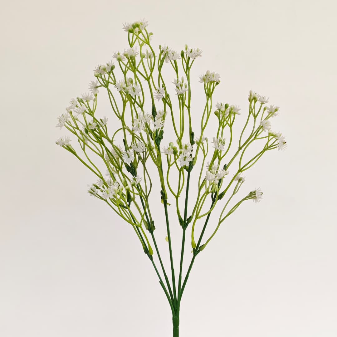 Baby's Breath Gypsophila 5 Heads 满天星-White | 
