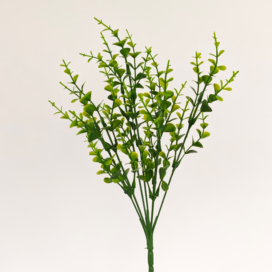 Eucalyptus 7 Heads Big (1DOZ)-Green | 