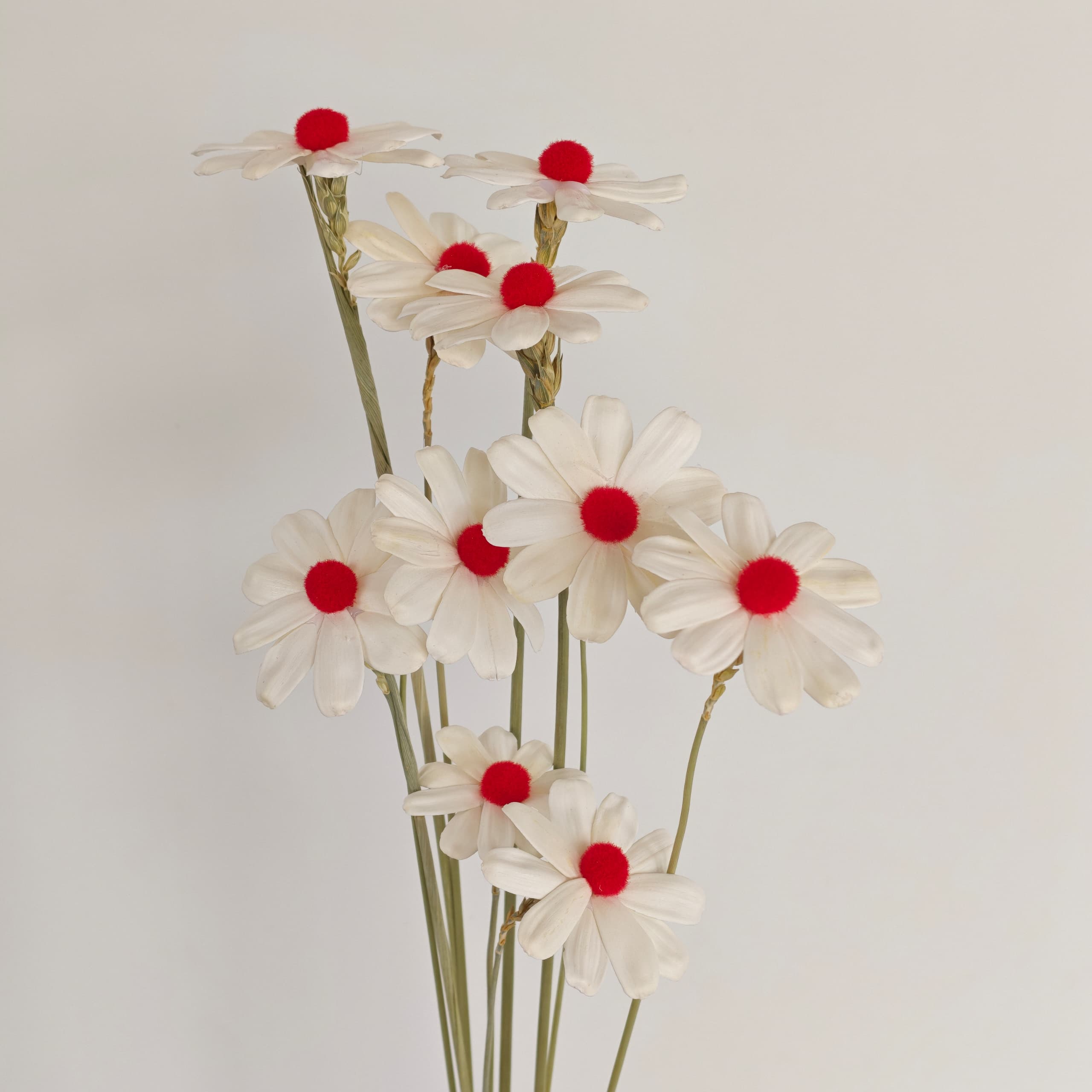 Daisy Handmade 10Pcs (Dried Flowers) 瓜子花 | Dried Flowers