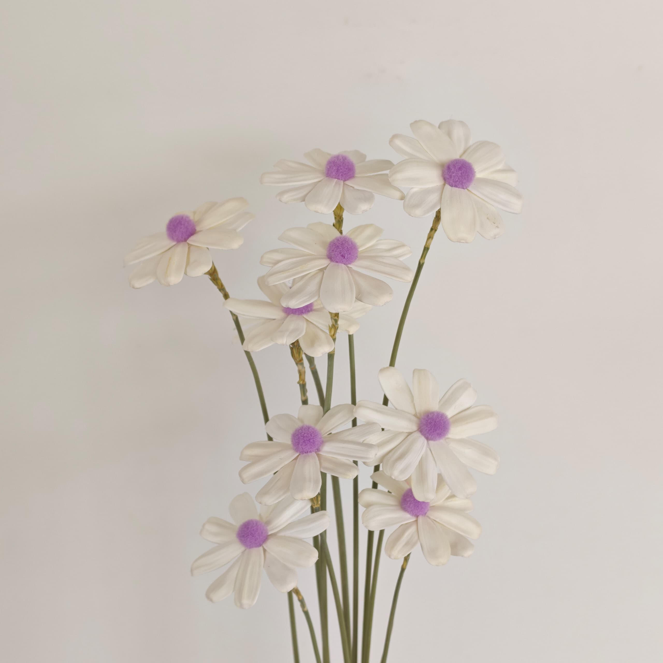 Daisy Handmade 10Pcs (Dried Flowers) 瓜子花 | Dried Flowers