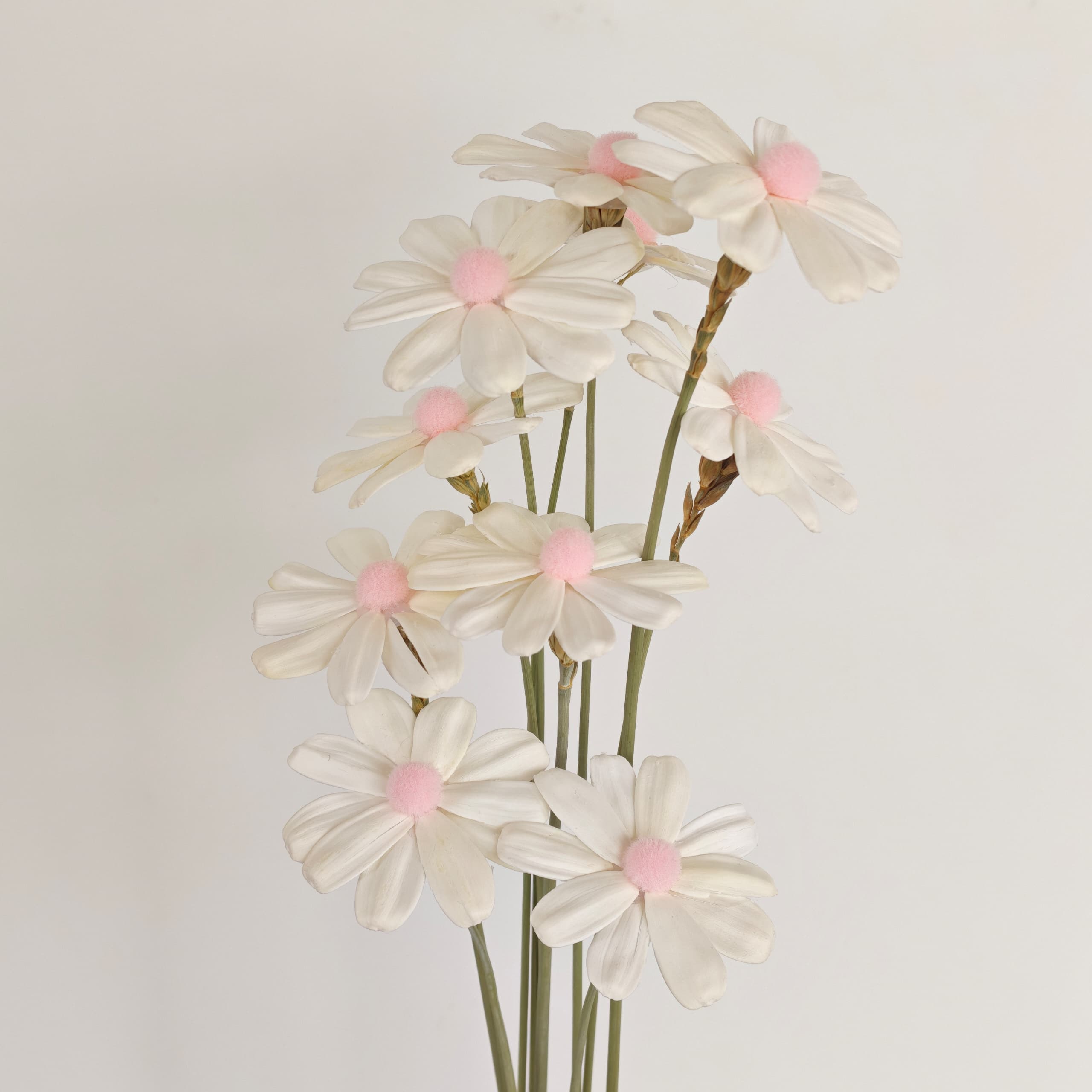 Daisy Handmade 10Pcs (Dried Flowers) 瓜子花 | Dried Flowers