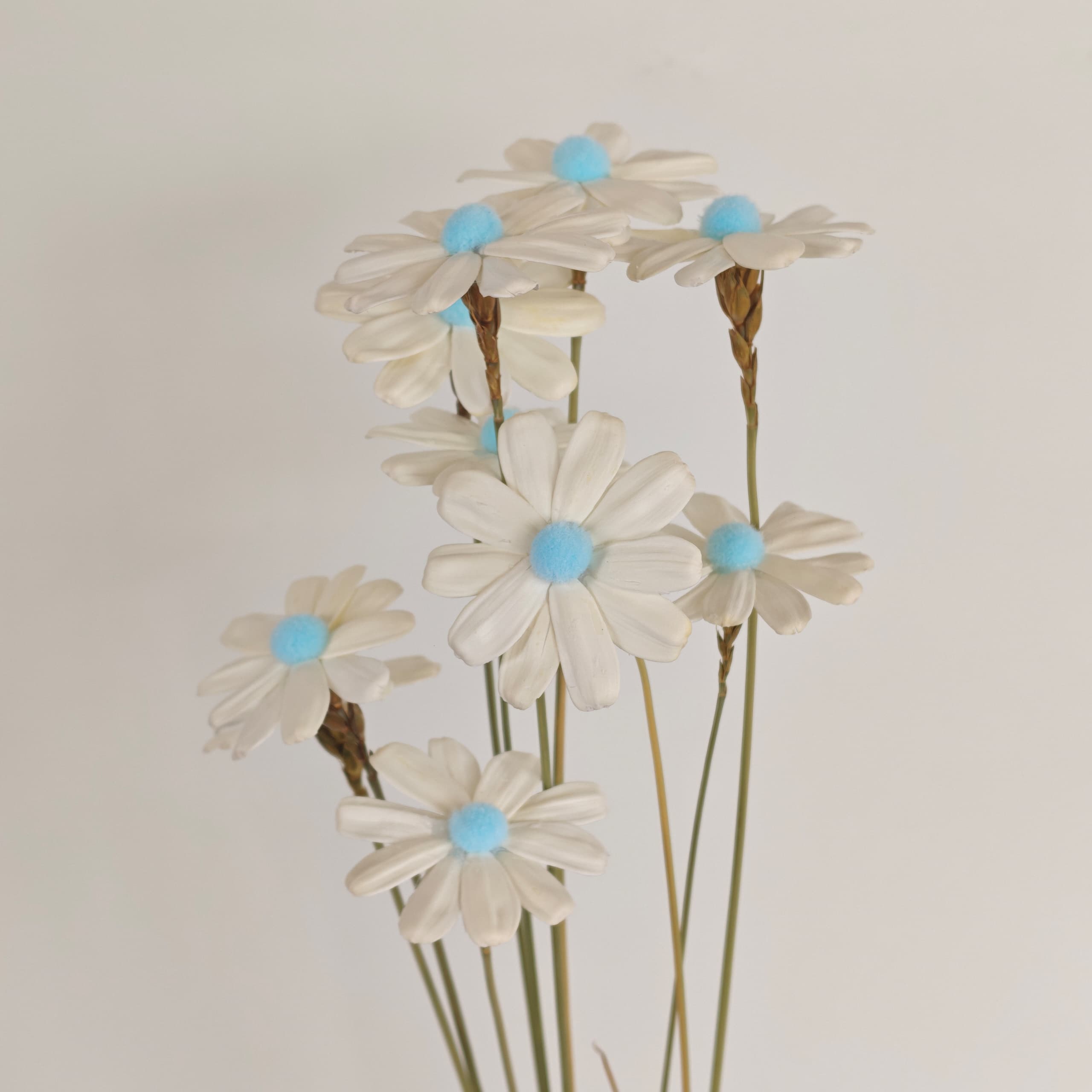 Daisy Handmade 10Pcs (Dried Flowers) 瓜子花 | 