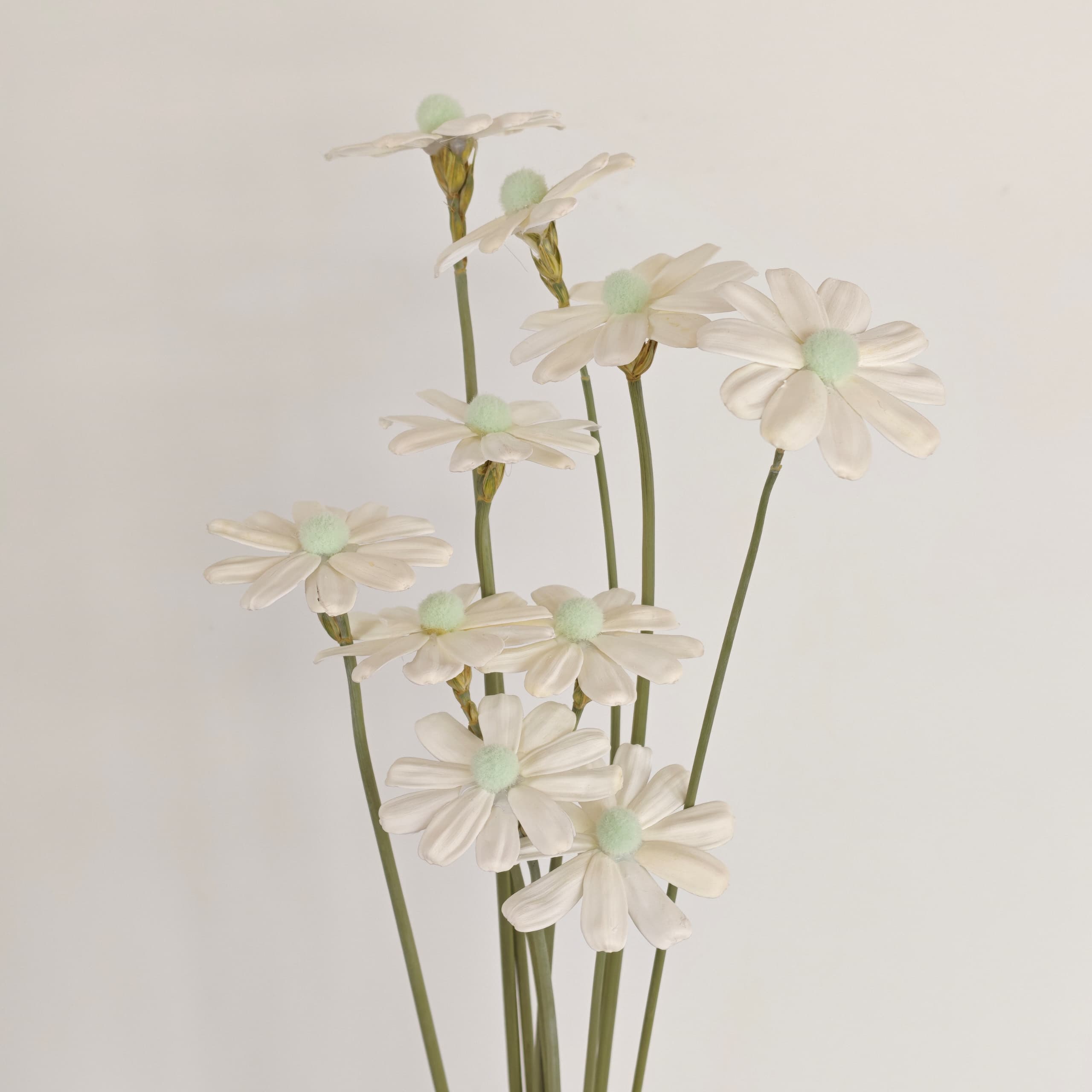 Daisy Handmade 10Pcs (Dried Flowers) 瓜子花 | Dried Flowers