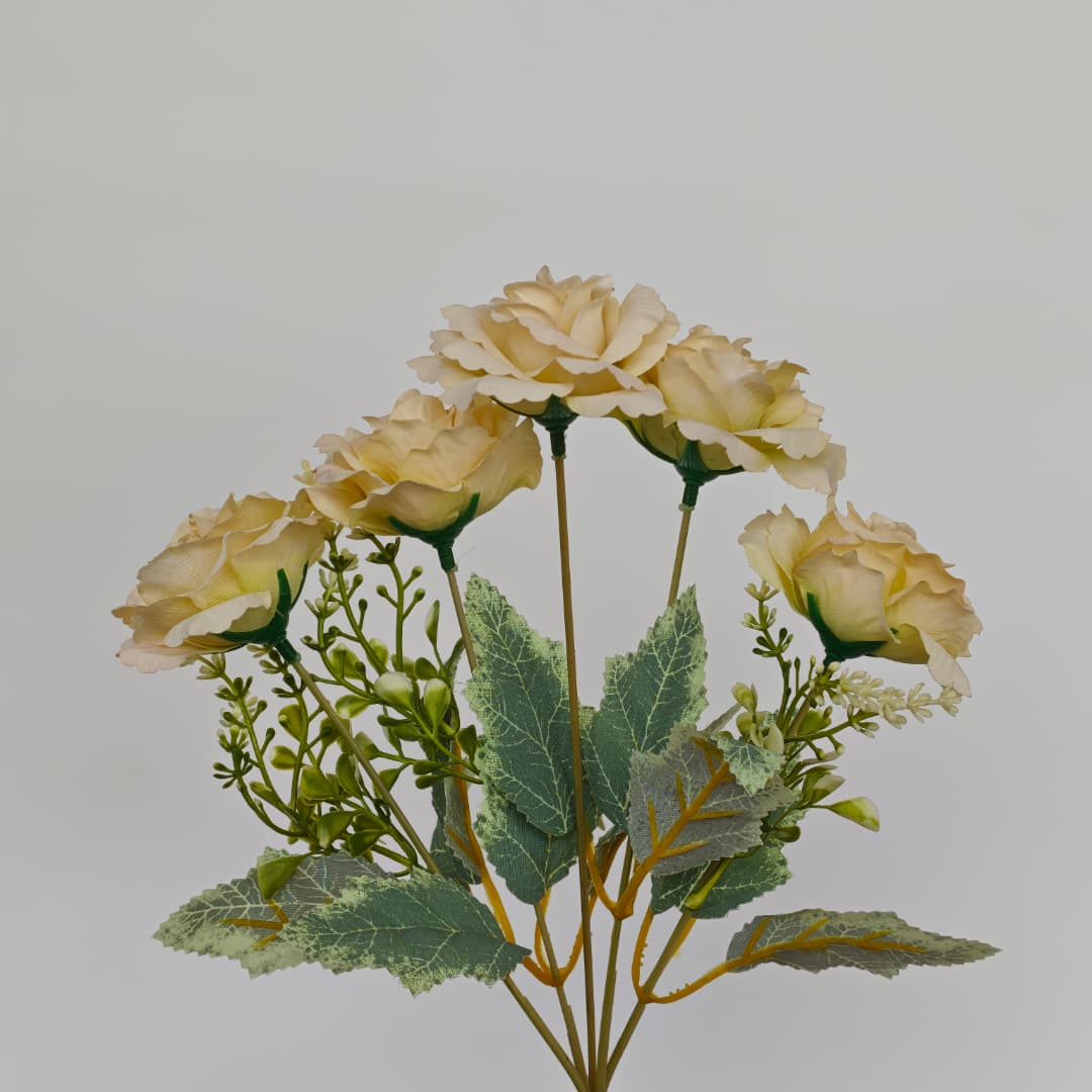 Dry Rose x 5 (L30cm) | Short Flowers