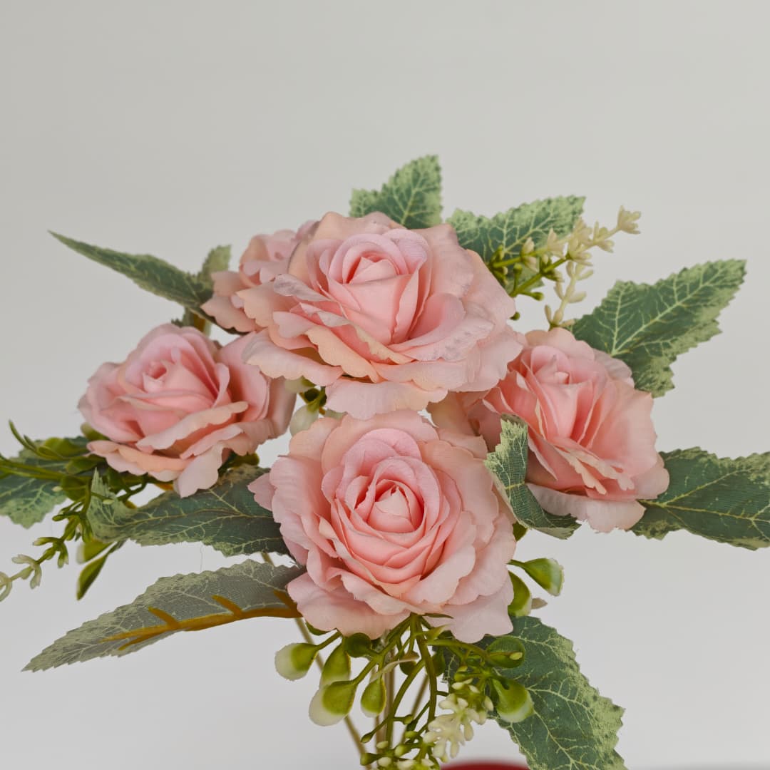 Dry Rose x 5 (L30cm) | Short Flowers