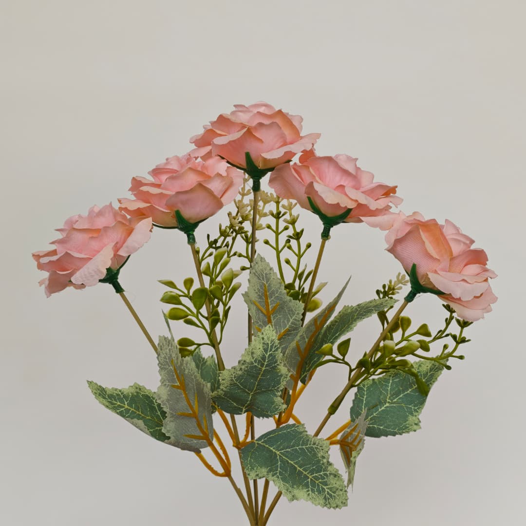 Dry Rose x 5 (L30cm) | Short Flowers