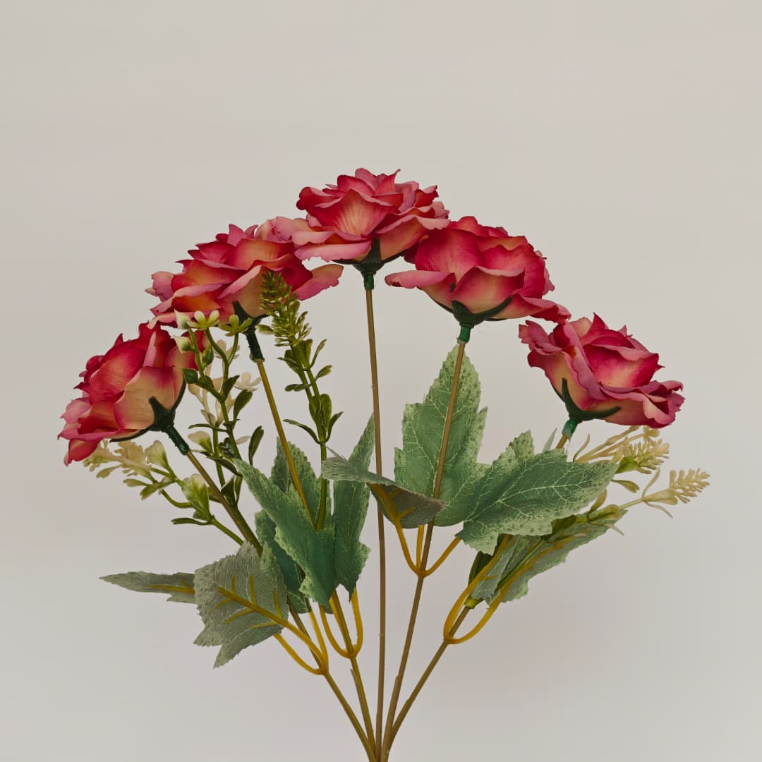Dry Rose x 5 (L30cm) | Short Flowers