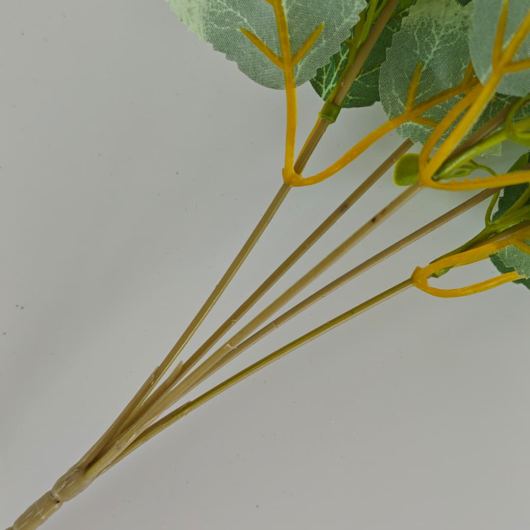 Dry Rose x 5 (L30cm) | Short Flowers