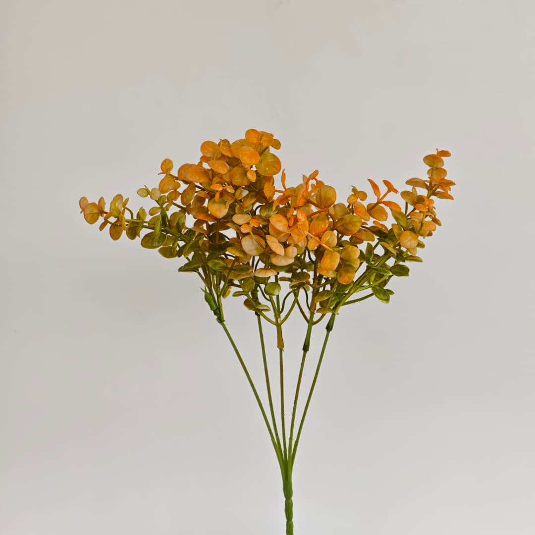 Fillers (34cm) | Flowers & Greenery