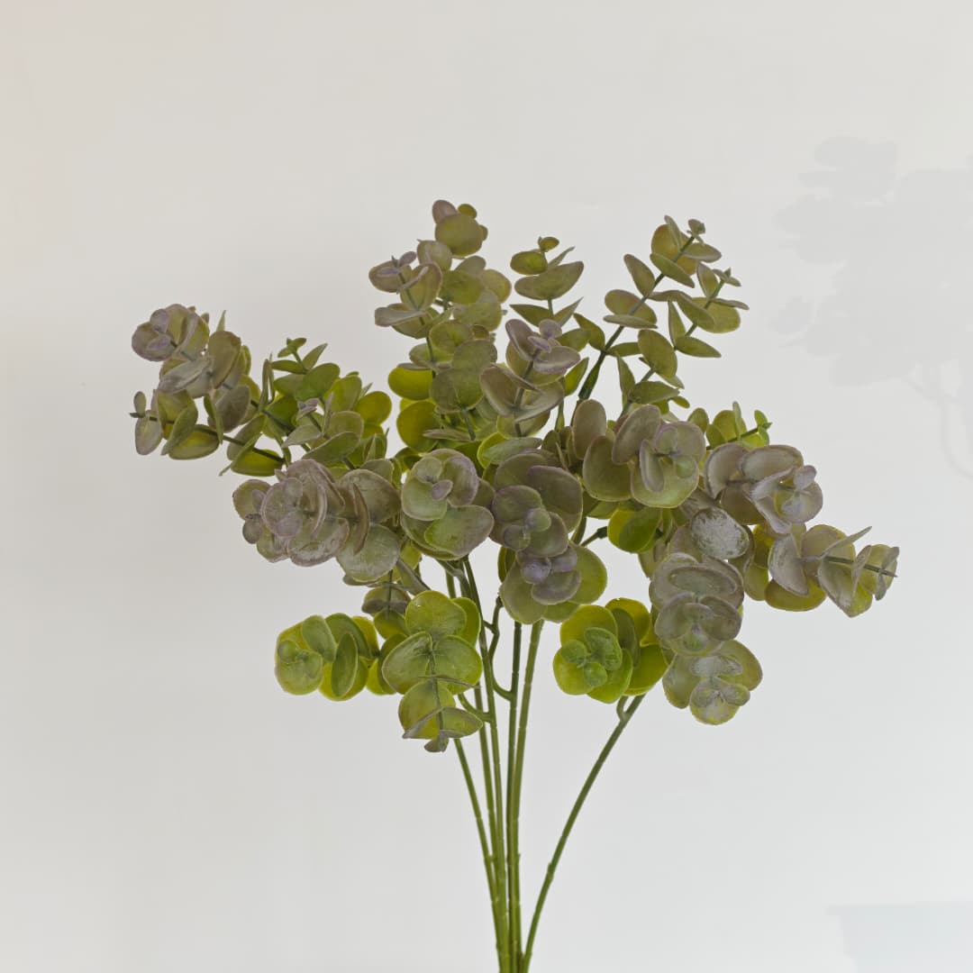 Eucalyptus (6Pcs) | Fillers