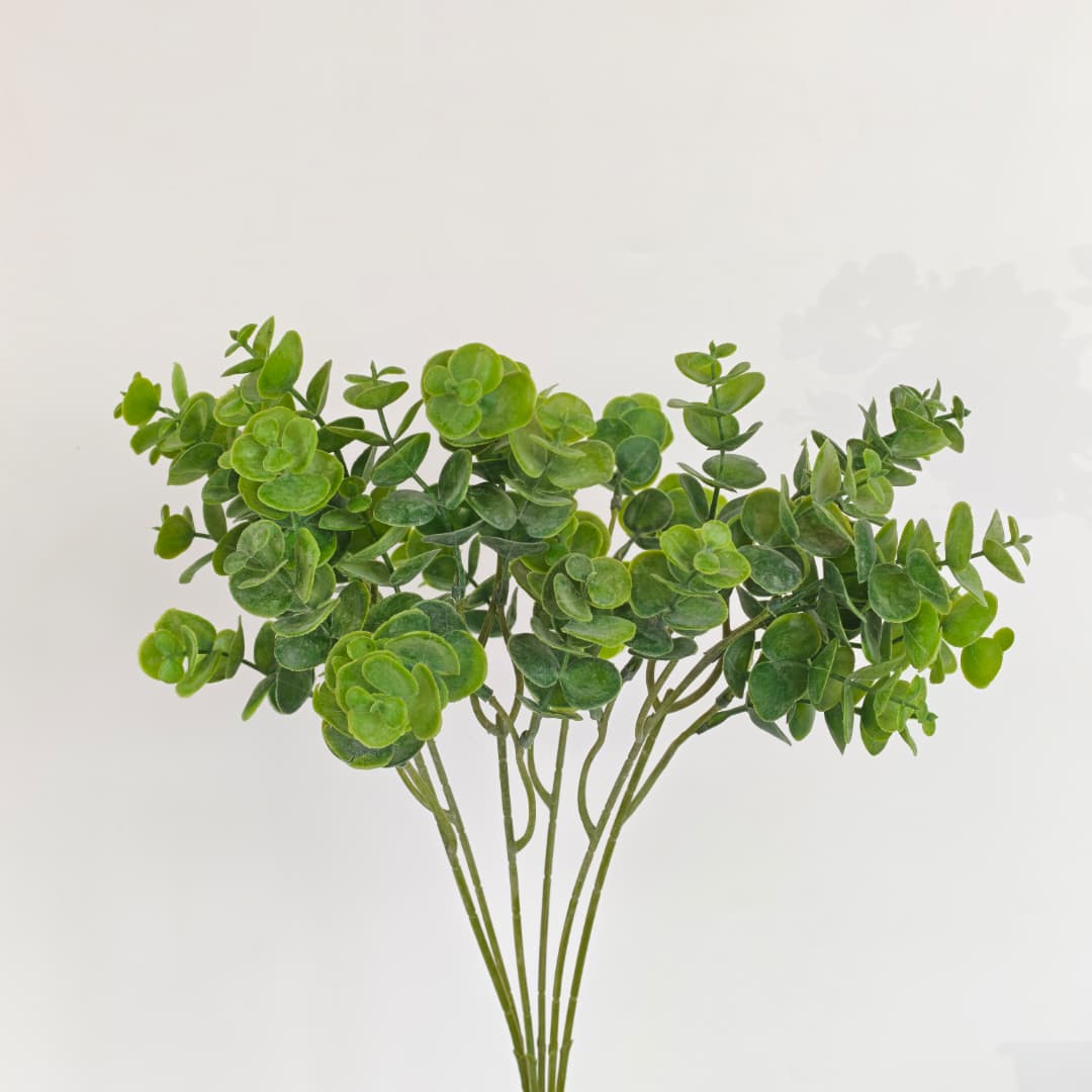 Eucalyptus (6Pcs) | Fillers