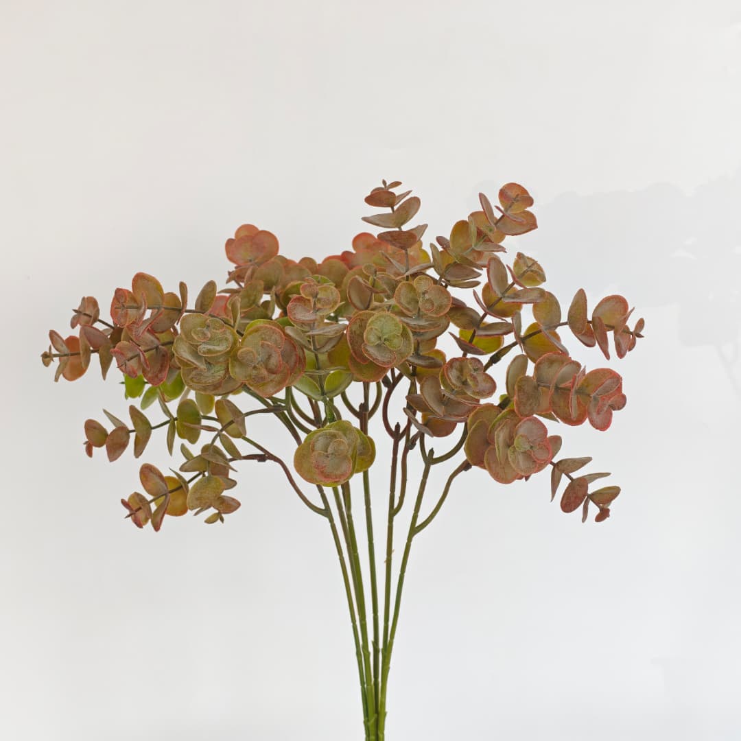 Eucalyptus (6Pcs) | Flowers & Greenery