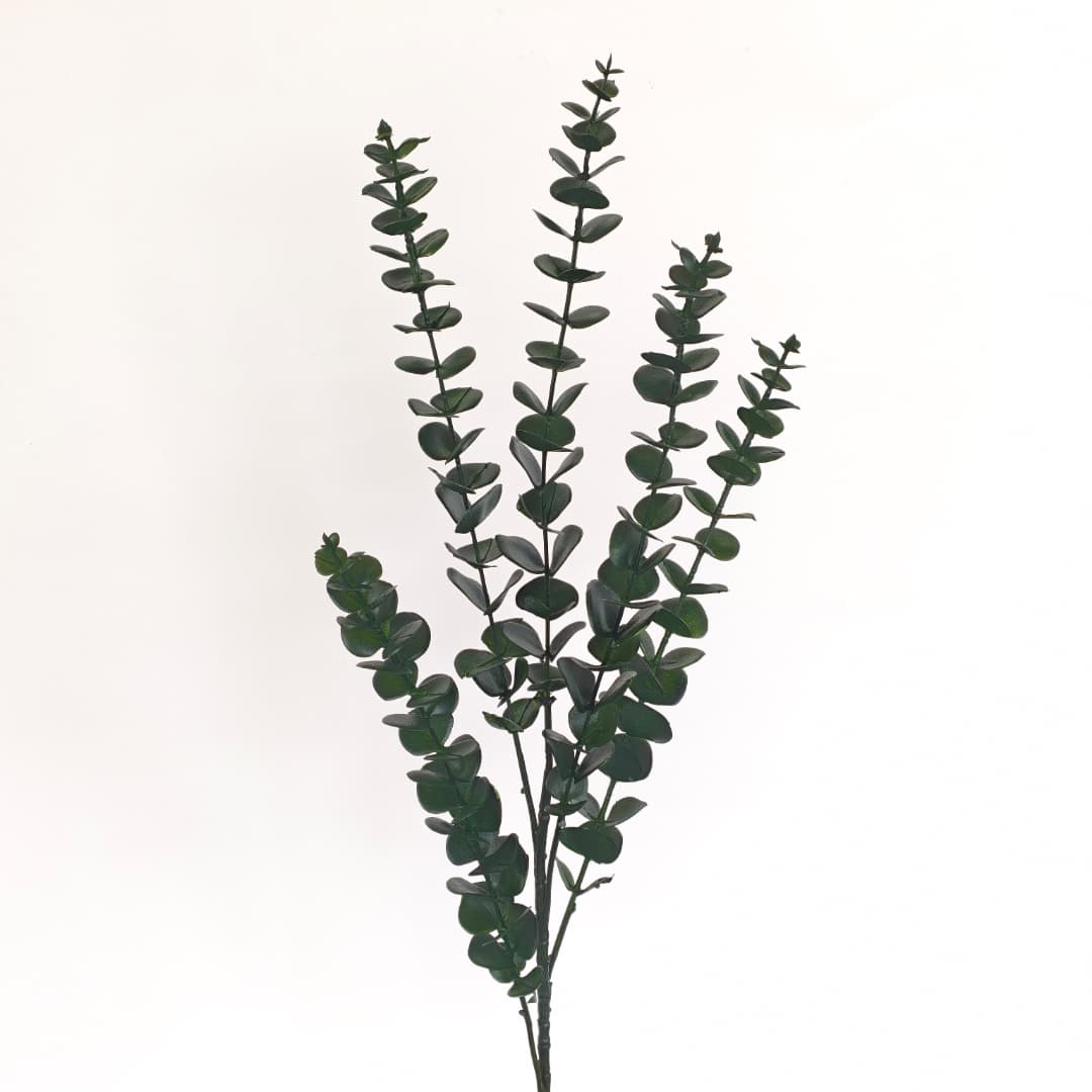 Eucalyptus x 5 Heads (88cm) 尤加利/金钱叶 | Flowers & Greenery